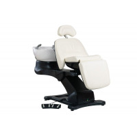 Мойка парикмахерская "Destiny"