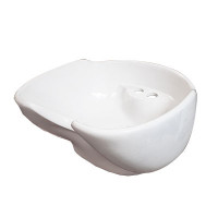 белая ракушка