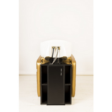 Парикмахерская мойка &quot;Симфония II&quot;