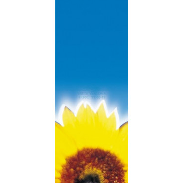 Солярий-Коллагенарий TWIN T1